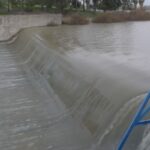 ADELQUIVIR alerta de graves daños en el sector agrario tras las últimas borrascas