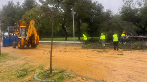 Actualización de la borrasca Leonardo: aviso amarillo por viento, trenes paralizados y vigilancia en Guadalema y Pinzón