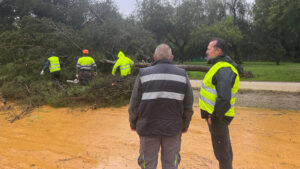 Actualización de la borrasca Leonardo: aviso amarillo por viento, trenes paralizados y vigilancia en Guadalema y Pinzón