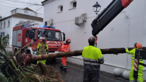 El viento provocó el pasado sábado más daños en la arboleda de Utrera