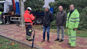 El viento provocó el pasado sábado más daños en la arboleda de Utrera