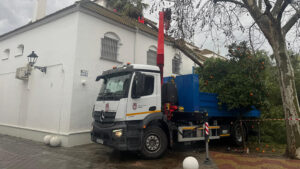El viento provocó el pasado sábado más daños en la arboleda de Utrera