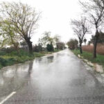 Cortada al tráfico la carretera del Palmar de Troya a Guadalema por acumulación de agua hasta nuevo aviso