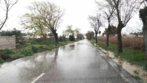 Cortada al tráfico la carretera del Palmar de Troya a Guadalema por acumulación de agua hasta nuevo aviso