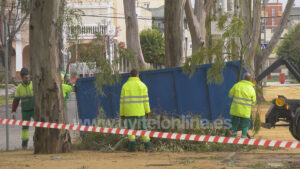 El temporal provoca daños en El Merendero, el Polígono La Aurora y el arbolado municipal