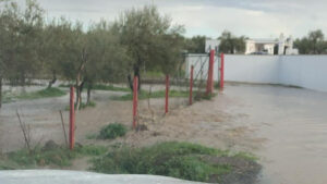 El PSOE de Utrera denuncia problemas de acceso en caminos rurales tras los episodios de lluvias