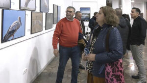 Inaugurada en Los Palacios la III Exposición Fotográfica “Humedales y Avifauna de la Marisma del Guadalquivir”