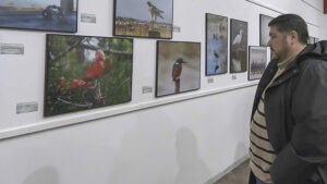 Inaugurada en Los Palacios la III Exposición Fotográfica “Humedales y Avifauna de la Marisma del Guadalquivir”