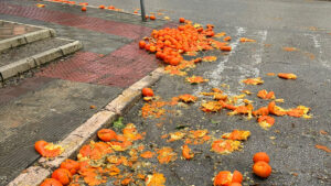El PSOE de Utrera critica la gestión municipal en la recogida de naranjas
