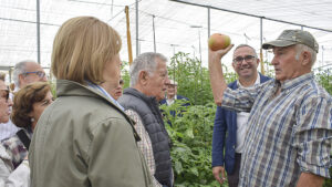 El “bombón colorao” vuelve a ser protagonista en Los Palacios con el XII Día del Tomate