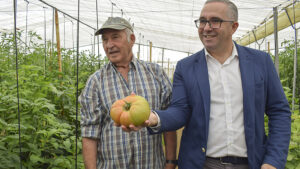 El “bombón colorao” vuelve a ser protagonista en Los Palacios con el XII Día del Tomate