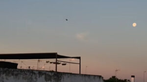 Un helicóptero y decenas de agentes irrumpen en una operación contra el crimen organizado en Utrera