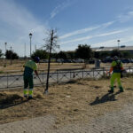 El Ayuntamiento intensifica las labores de limpieza y mantenimiento en polígonos industriales en Utrera