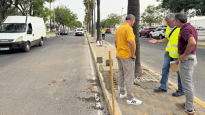 Continúan los trabajos en la entrada de Utrera con mejoras en las rotondas y medianas hasta La Trianilla