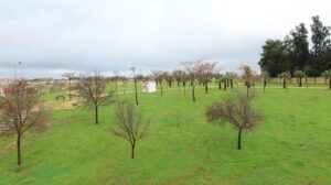 En licitación el suministro de materiales y servicios para la segunda fase de adecuación del Parque Periurbano Vistalegre