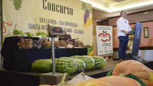 El Concurso de uvas, sandías y calabazas vuelve a exhibir la excelencia de la huerta palaciega