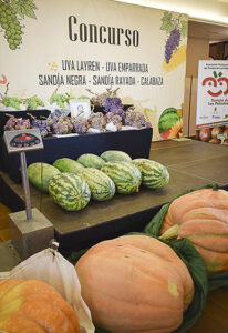 El Concurso de uvas, sandías y calabazas vuelve a exhibir la excelencia de la huerta palaciega