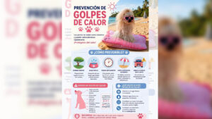La Delegación de Sanidad de Utrera recuerda las recomendaciones para protegerse ante las altas temperaturas