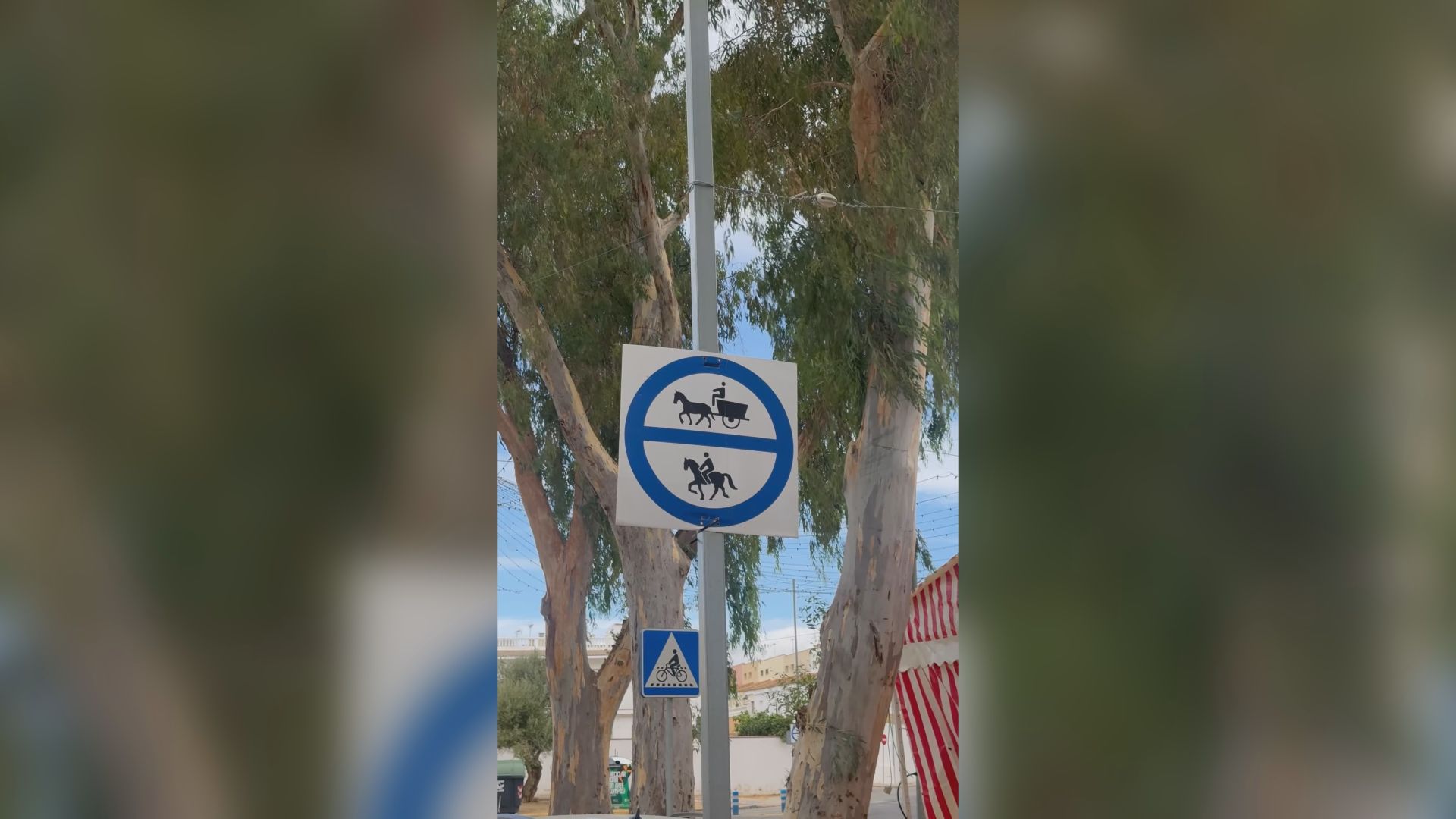 El Ayuntamiento refuerza los controles sanitarios y de bienestar animal de cara a la Feria de Consolación 2026
