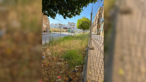 El PSOE de Utrera cuestiona el proyecto anunciado para los terrenos de la antigua plaza de toros y critica la gestión del gobierno local