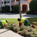 La delegación de Parques y Jardines intensifica la puesta a punto de las zonas verdes para la Feria de Consolación 2026