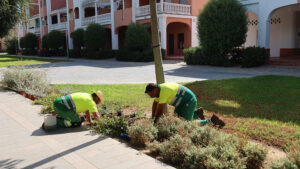 La delegación de Parques y Jardines intensifica la puesta a punto de las zonas verdes para la Feria de Consolación 2026