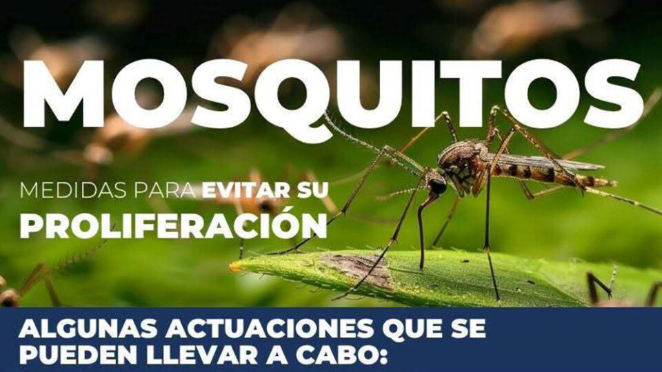 Las labores contra el Mosquito del Nilo se intensifican tras detectarse un nuevo caso