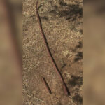 El sistema de riego del Parque del Quinto Centenario es reparado tras los últimos daños sufridos