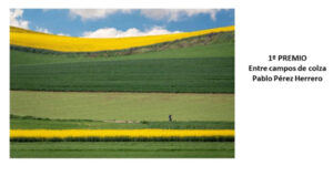Concluye el II Concurso Fotográfico “El Camino de Santiago en la Vía Augusta”: Ganadores, entrega de premios y exposición pública