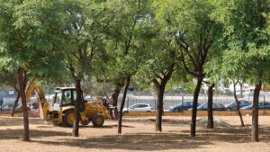 El Parque Cristo de los Afligidos comienza su segunda fase de rehabilitación