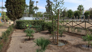 La vegetación del Parque de Consolación comienza su restauración tras la retirada del pino de gran porte