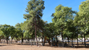 El gobierno municipal visita el Parque de Cristo de los Afligidos para comprobar el arranque de sus obras